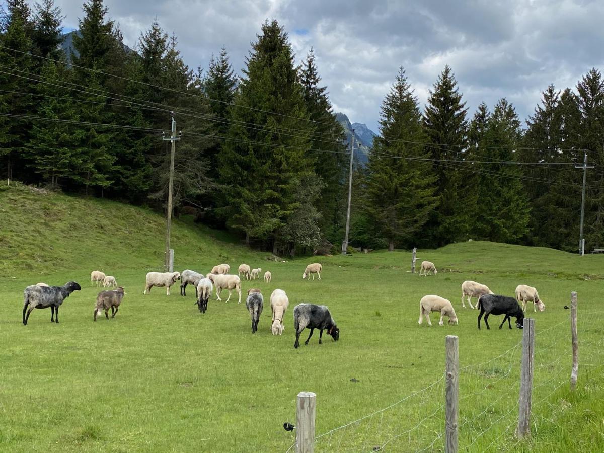 Ferienwohnung Alma Pflach Bagian luar foto