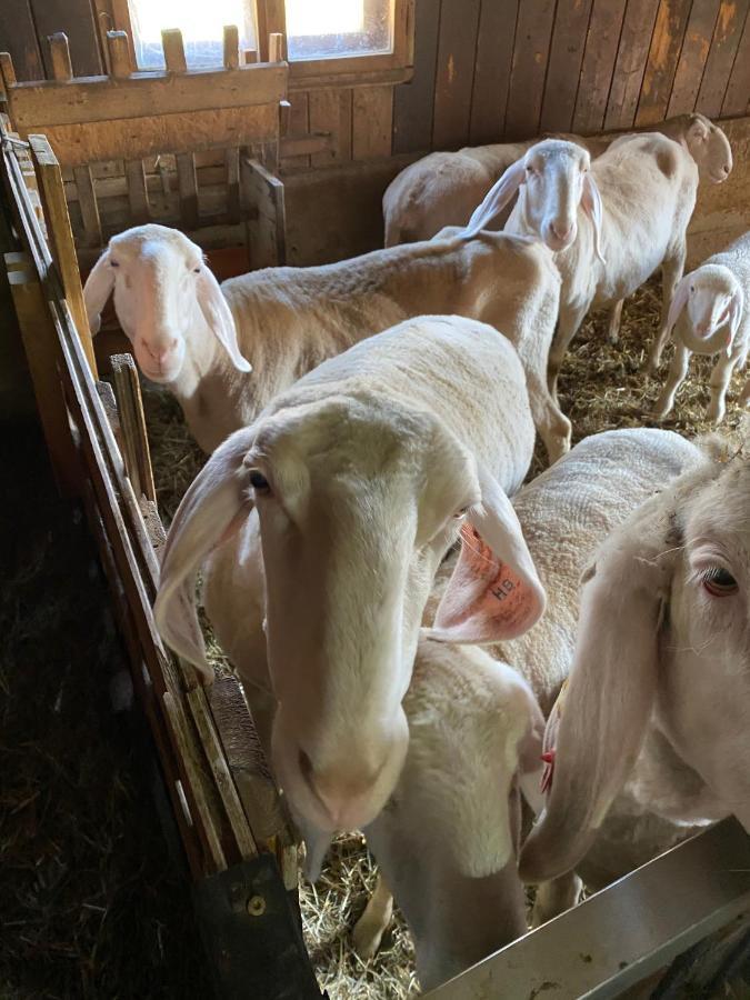Ferienwohnung Alma Pflach Bagian luar foto