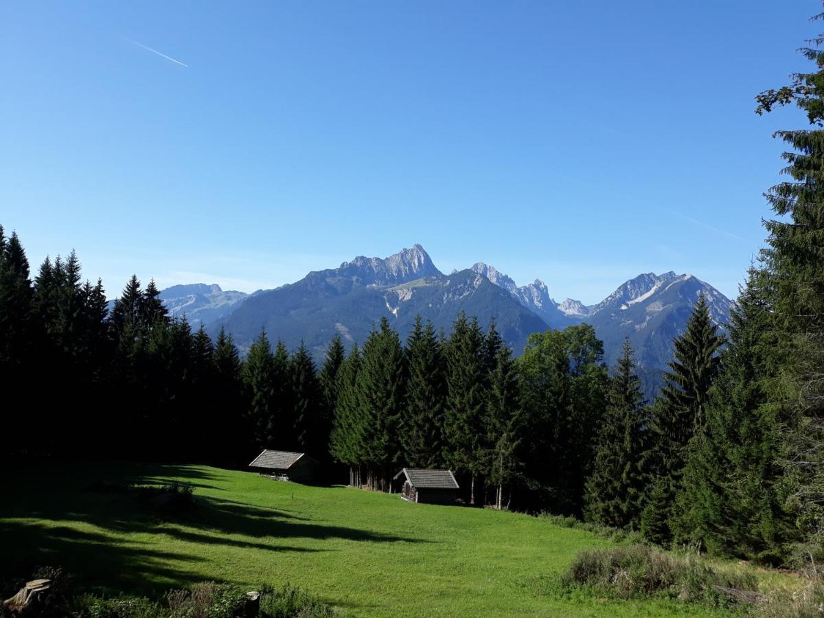 Ferienwohnung Alma Pflach Bagian luar foto