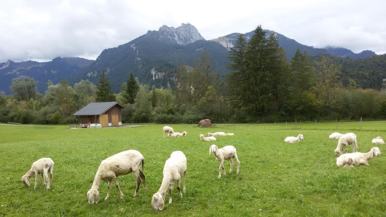 Ferienwohnung Alma Pflach Bagian luar foto